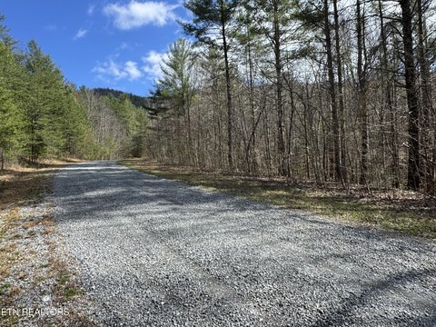 Tennessee Land with Mountain Views