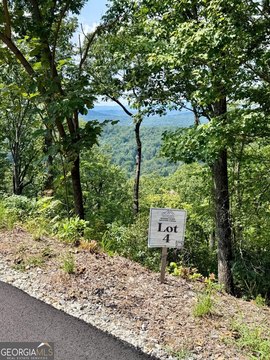 Land, Blue Ridge, GA