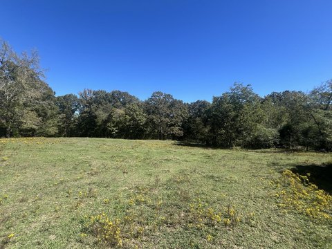 31 Acres of Rural Land