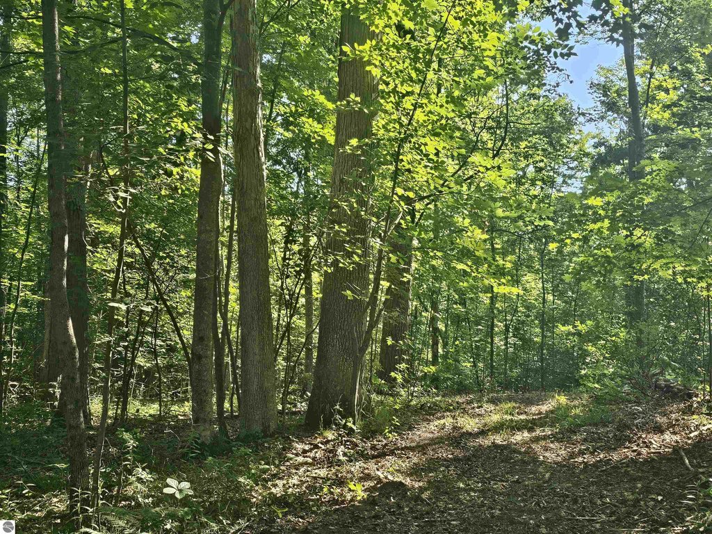 Picture 20