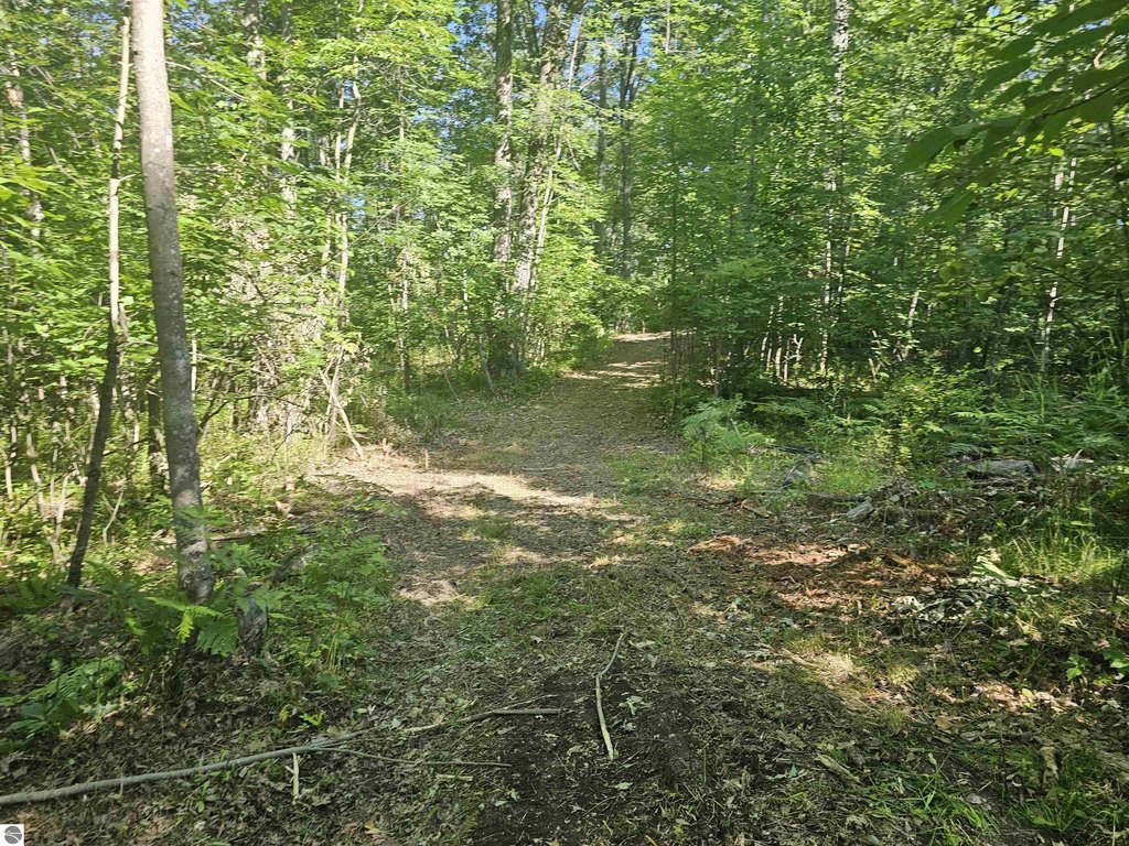 Picture 31