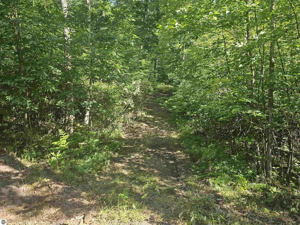 Picture 28