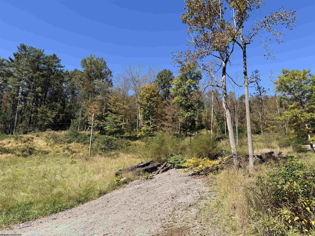 Picture 6