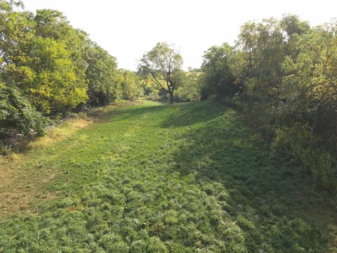 Recreational Land with Hunting Potential