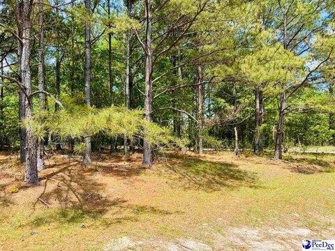Land, Cheraw, SC