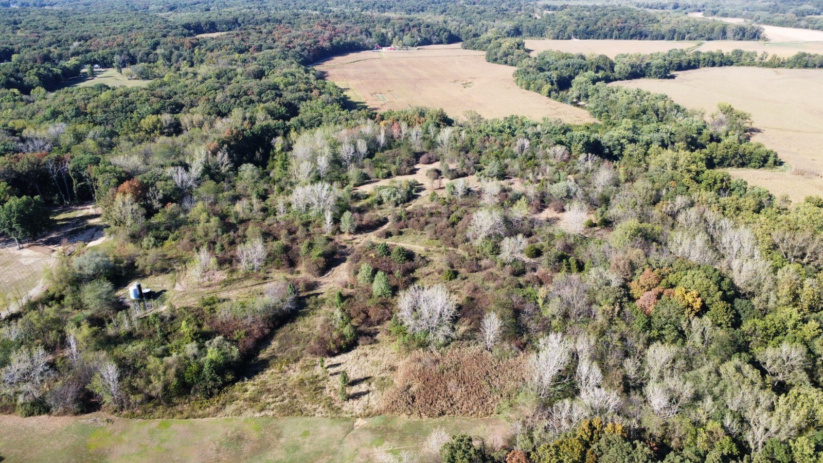 31 Acres Hunting Land in Effingham