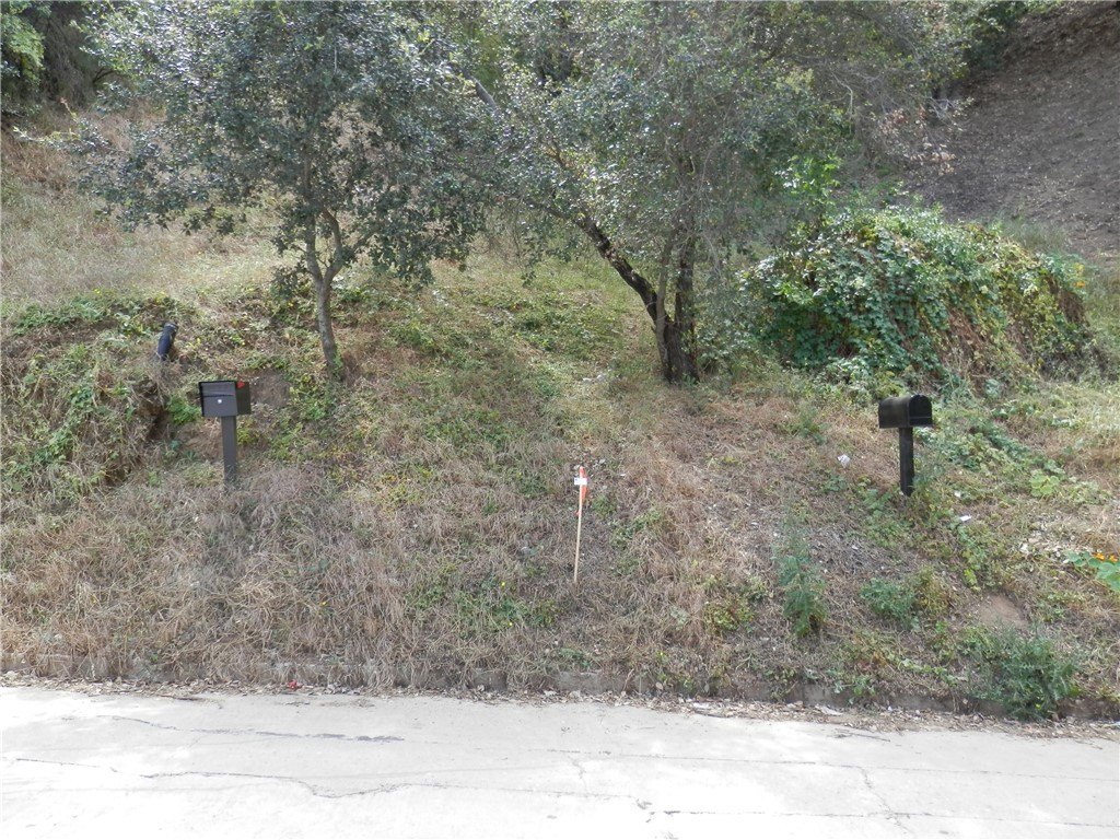 Picture 15