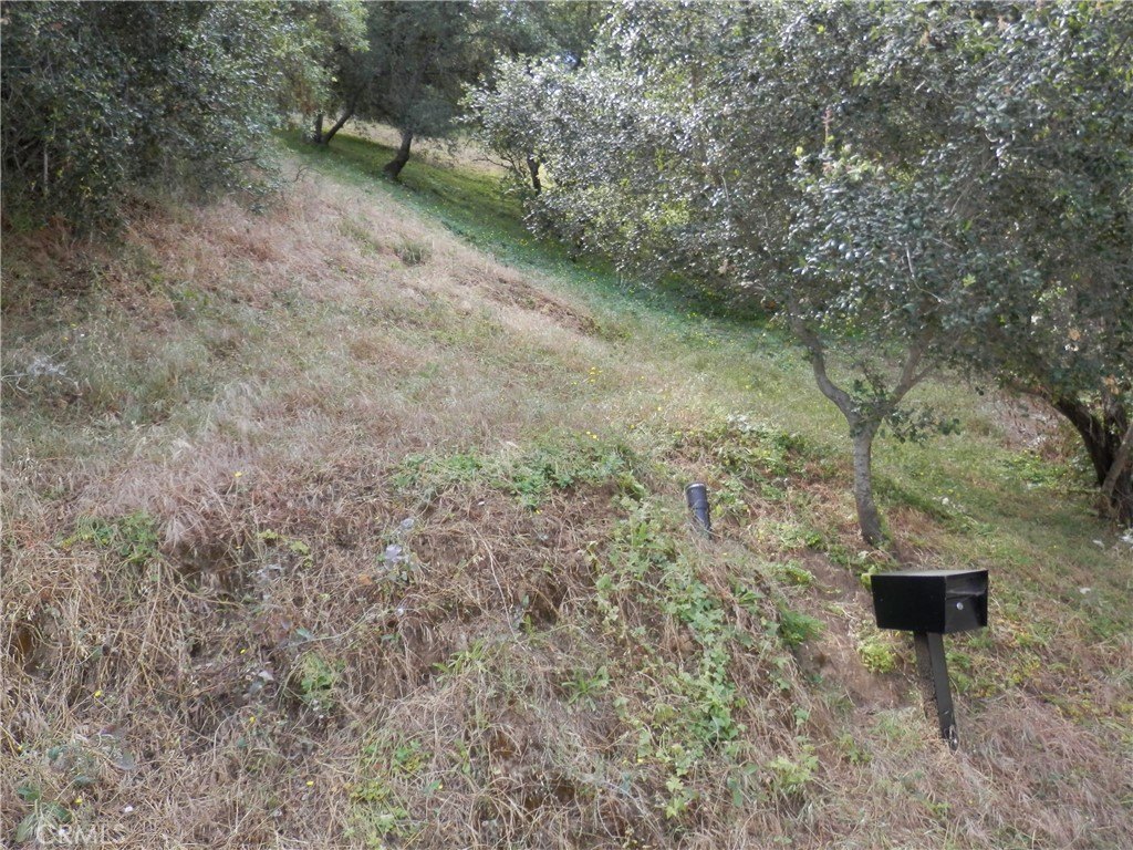 Picture 9