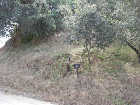 Highland Park Hillside Development Opportunity