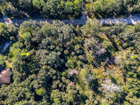 Land, BUNNELL, FL
