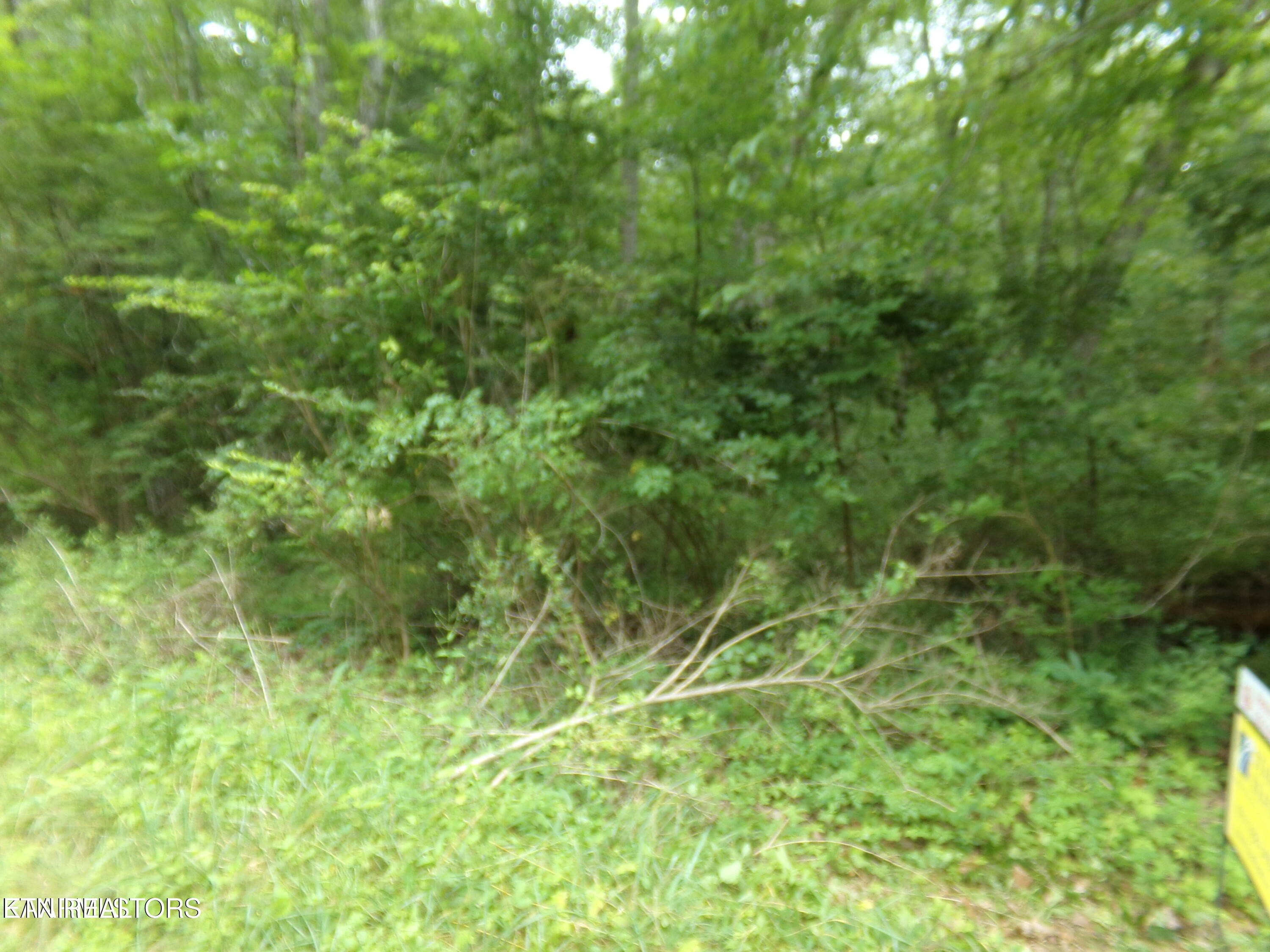 Level Lot in Lake Tansi