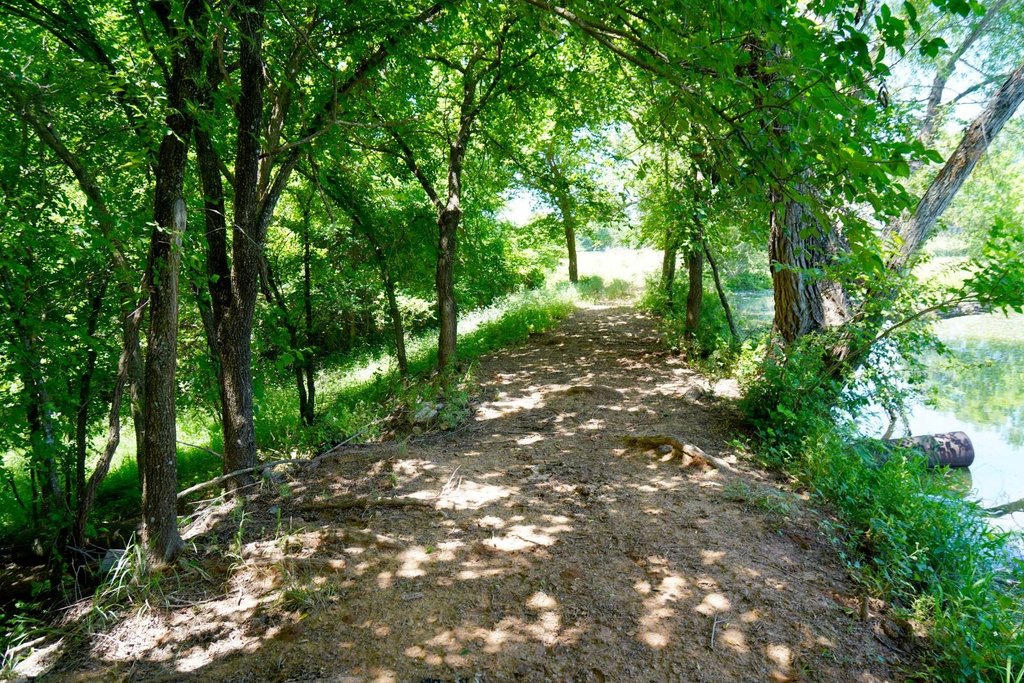 Picture 19