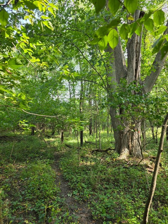 Picture 17
