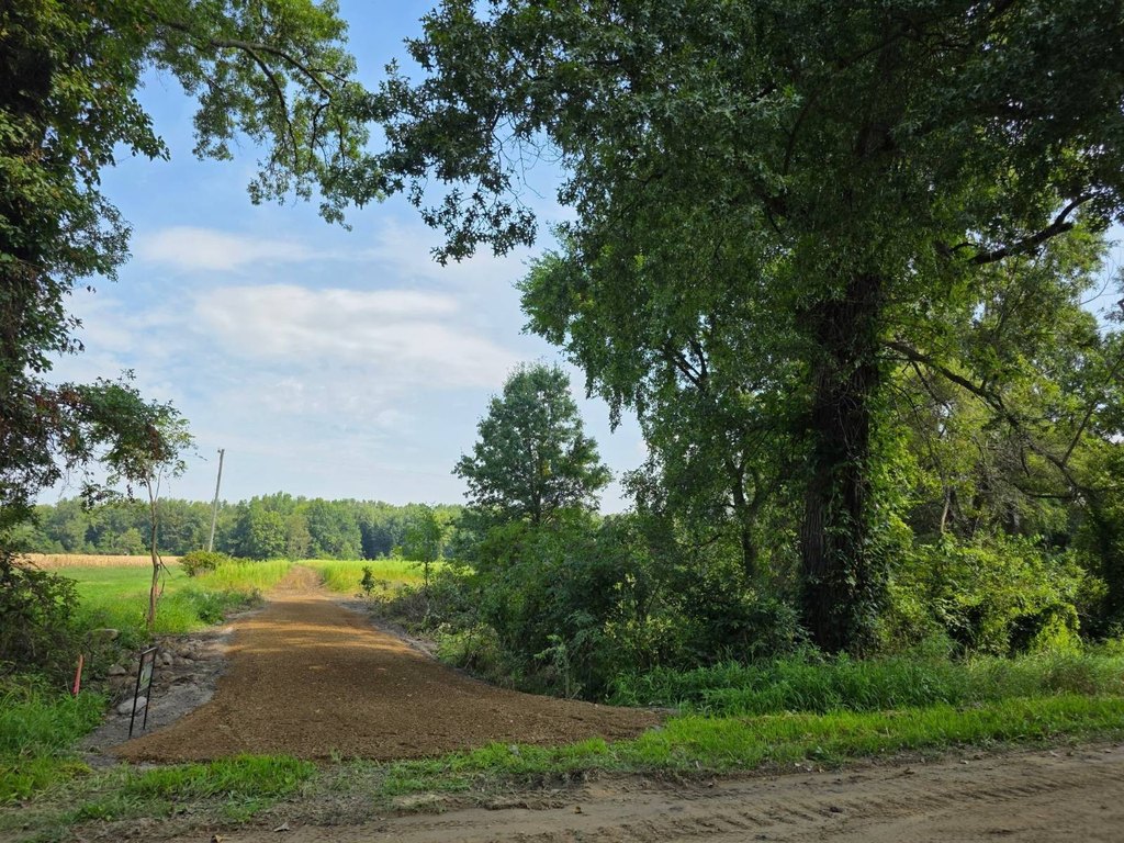 Picture 28