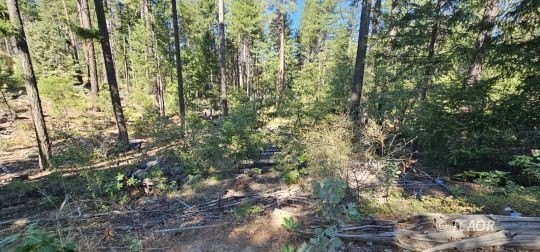 Raw Land Near Trinity River