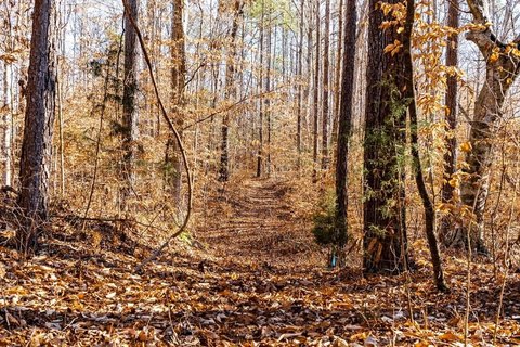 Secluded Land Near Lake Russell