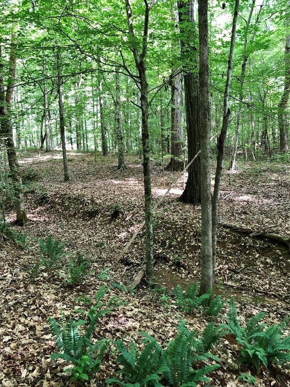 Picture 17