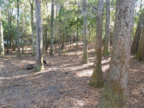 Dothan Residential Land Opportunity
