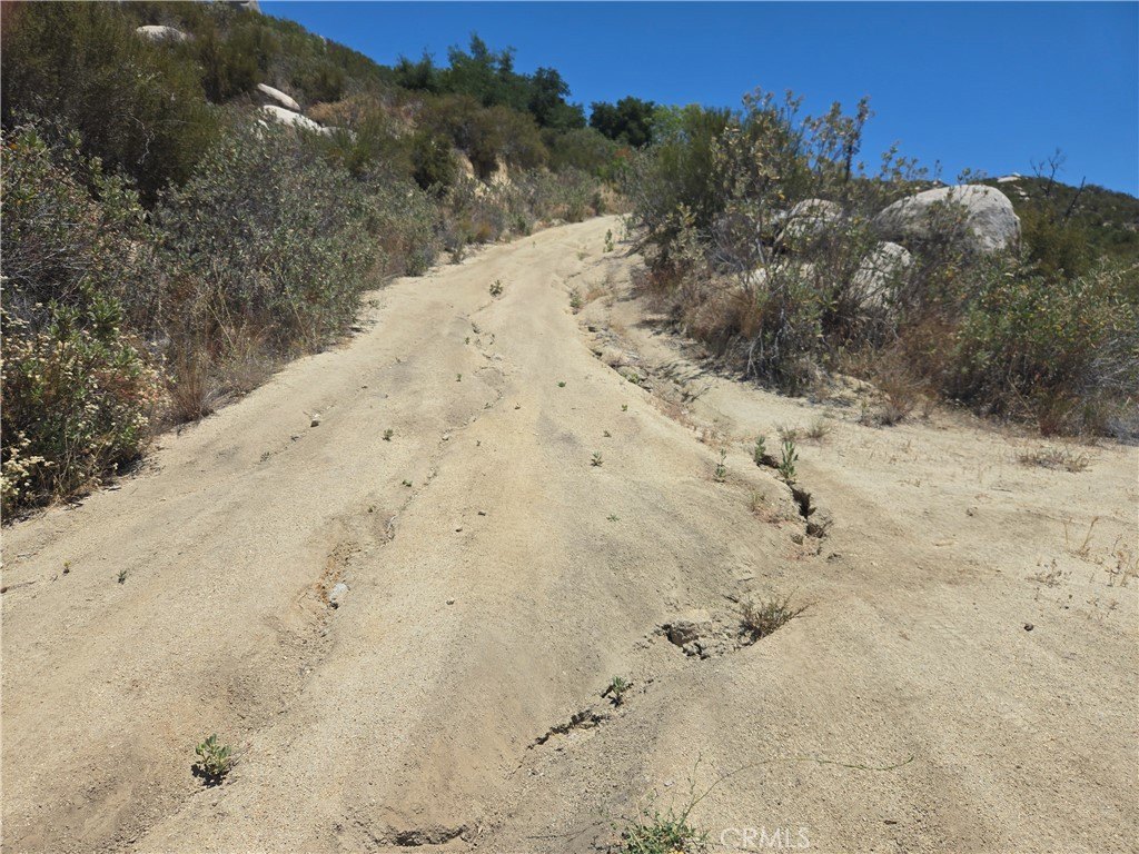 Picture 4