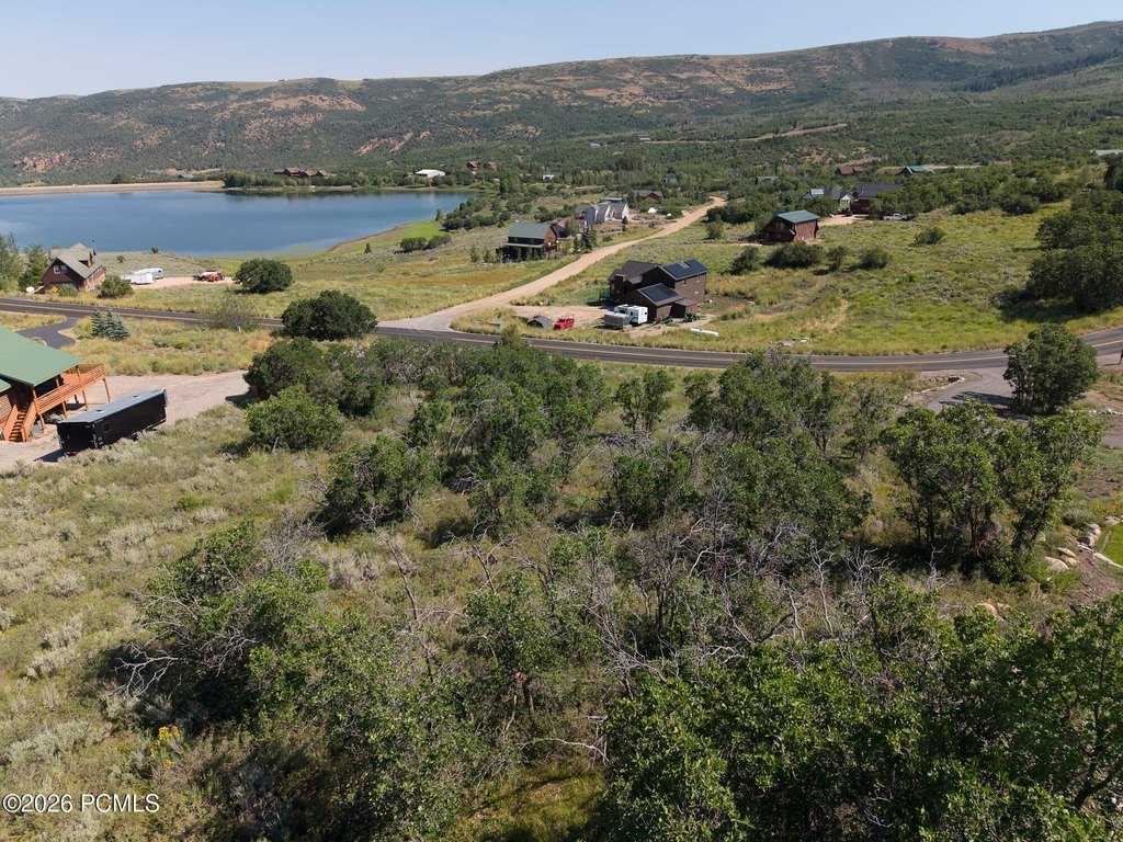 Picture 25