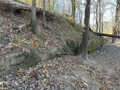 80 Acres Hunting & Income Farm