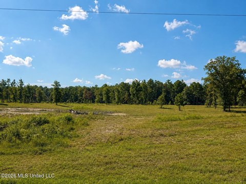 LAND - Leakesville, MS