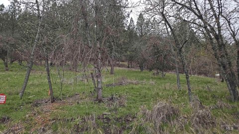 Buildable Lot in Peck, Idaho