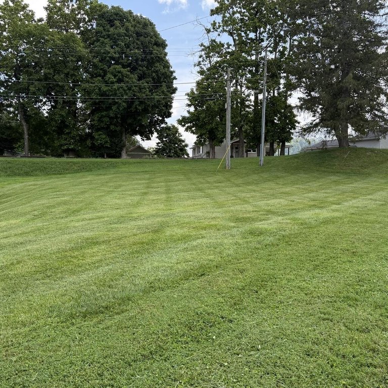 Picture 8