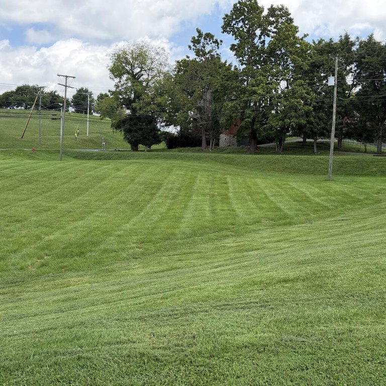 Picture 4