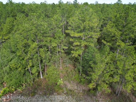 Land, Hortense, GA