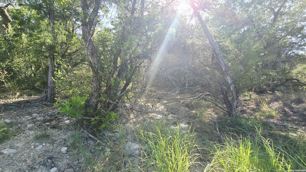 Picture 23
