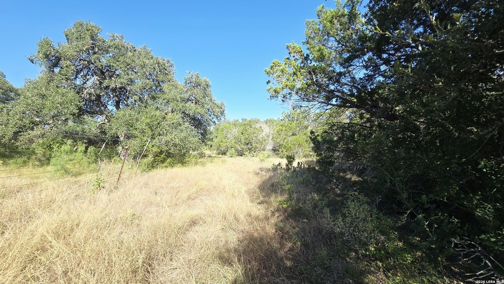 Picture 17