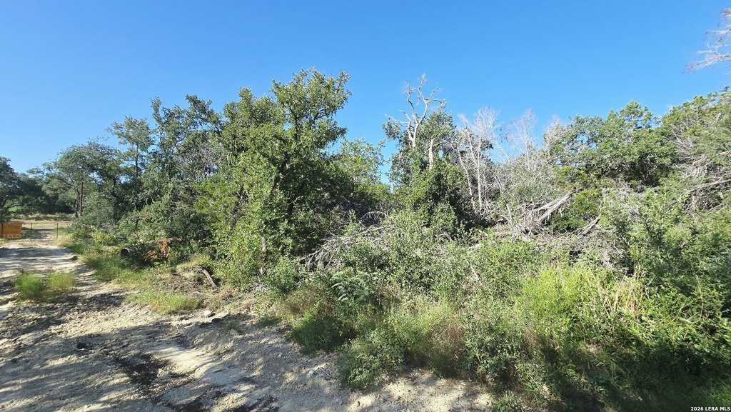 Picture 24