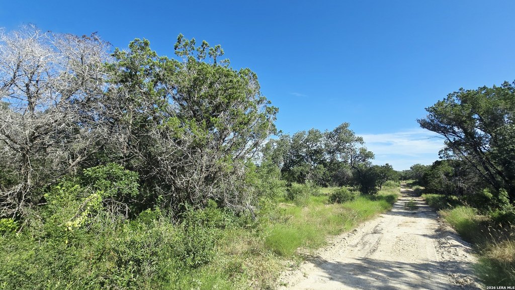 Picture 22