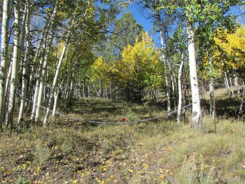 Land, Hartsel, CO