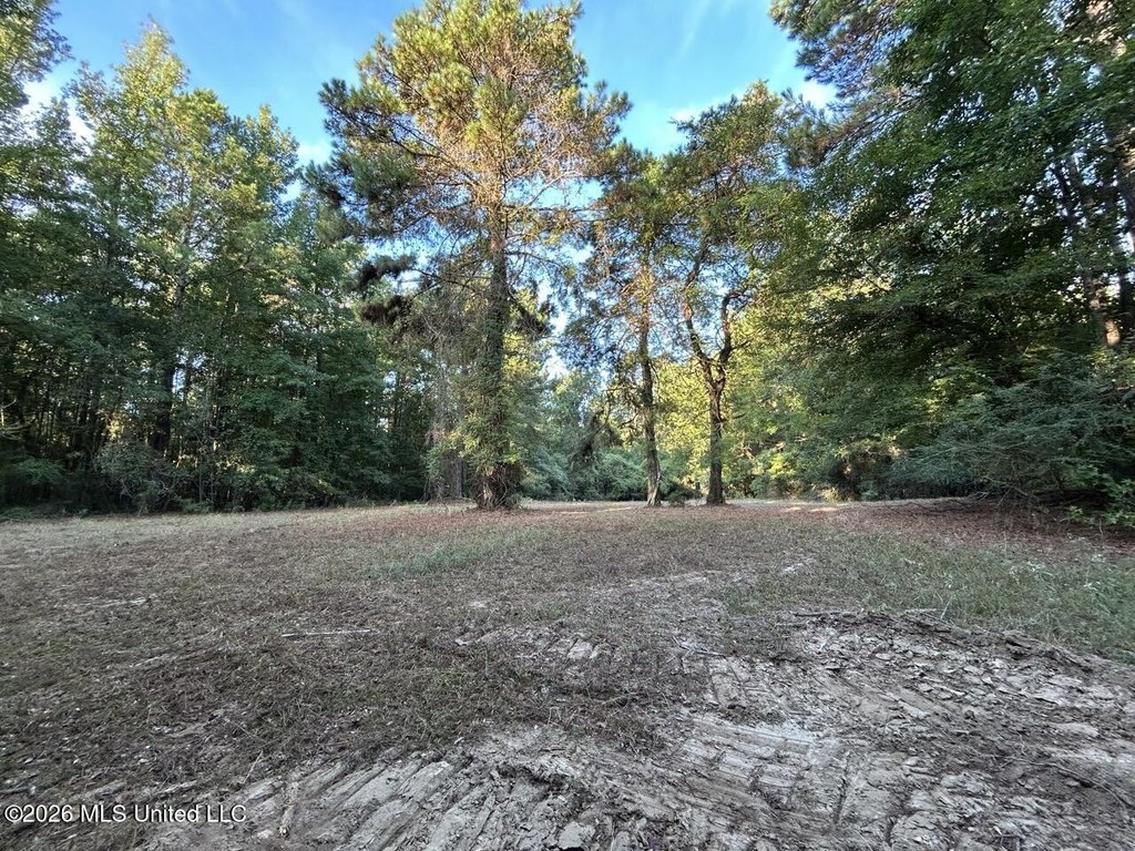 Picture 22