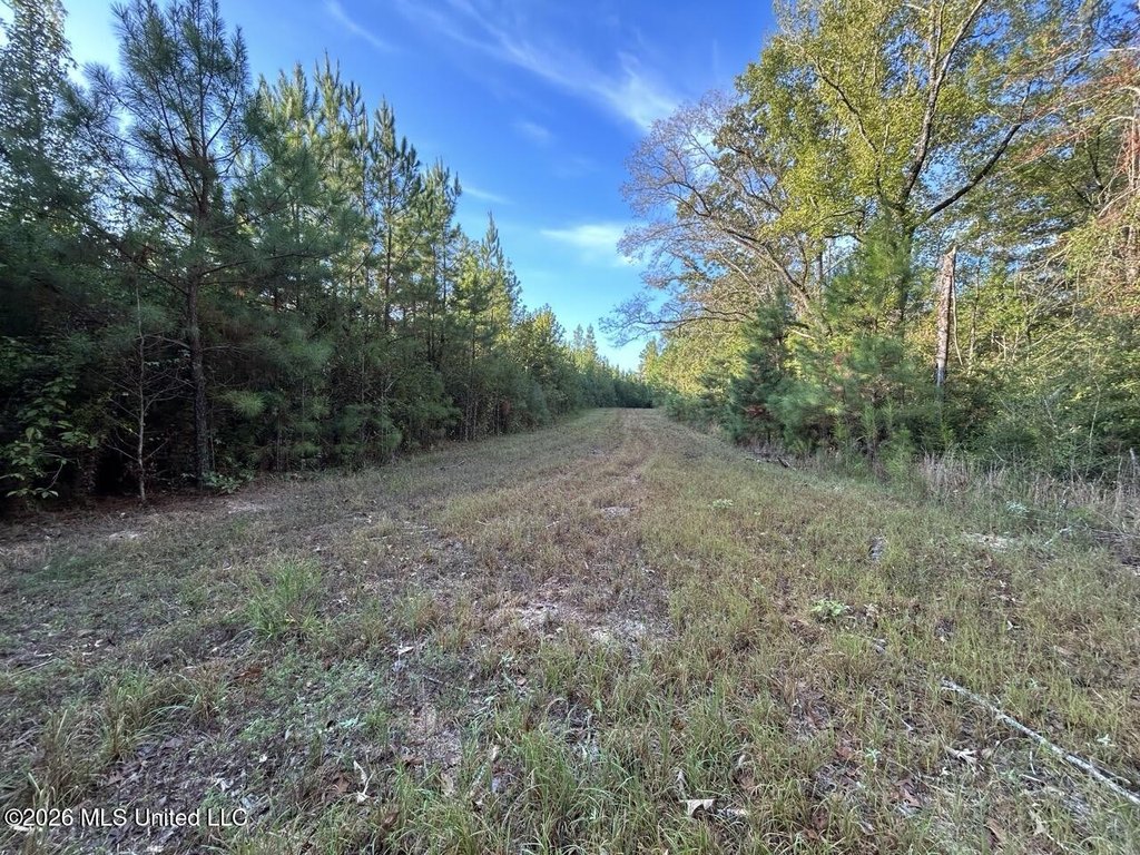 Picture 19