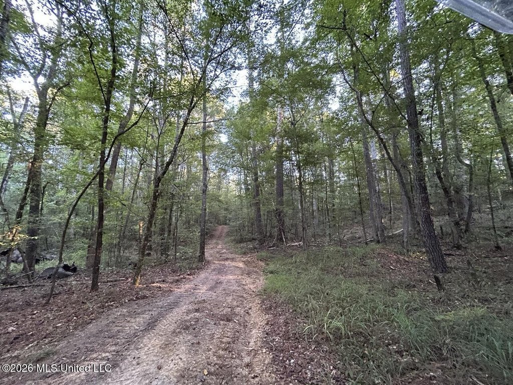 Picture 21