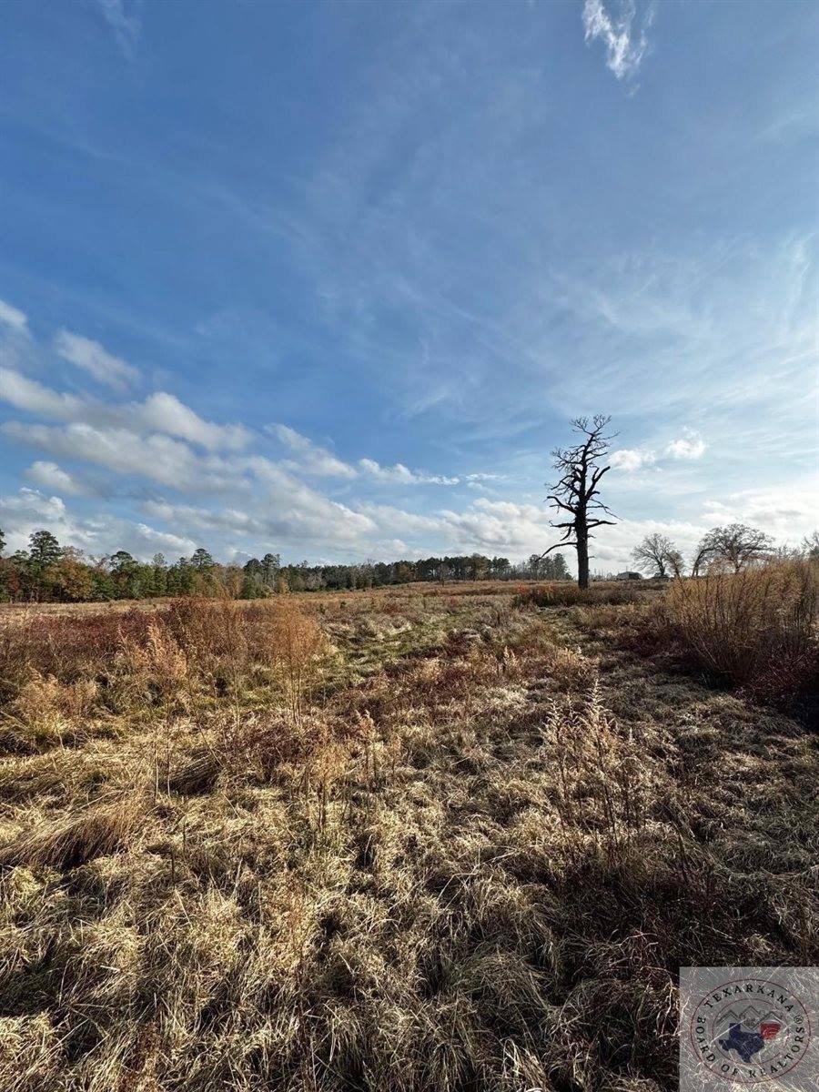 Linden, TX 20-Acre Land