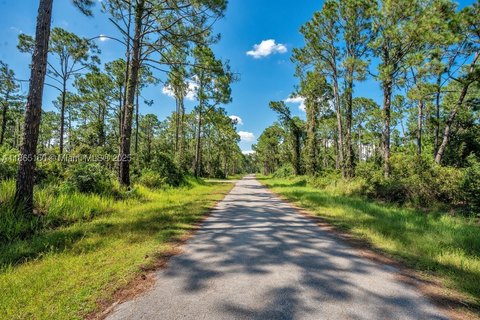 Residential Land Lot with Paved Frontage