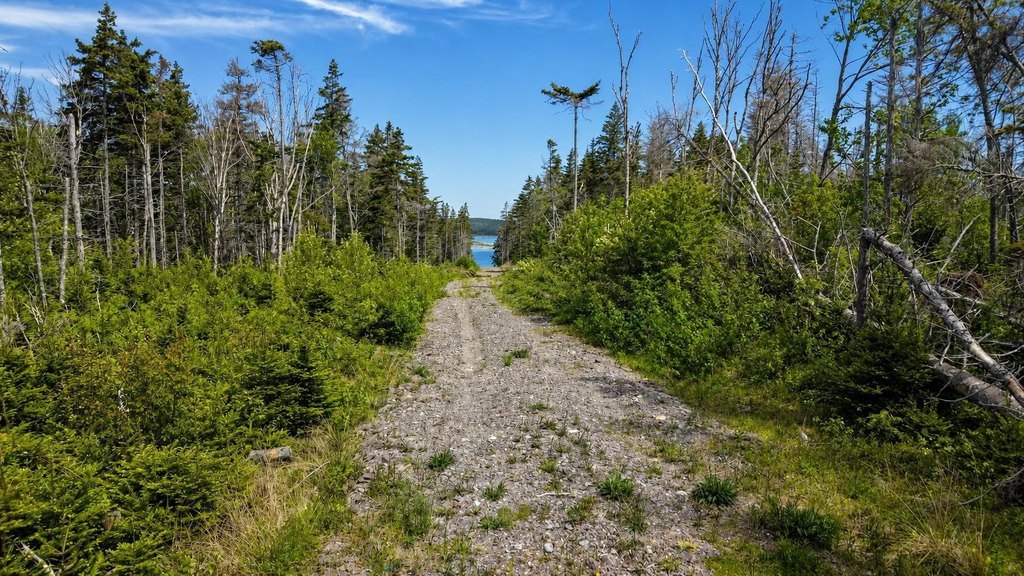 Picture 6