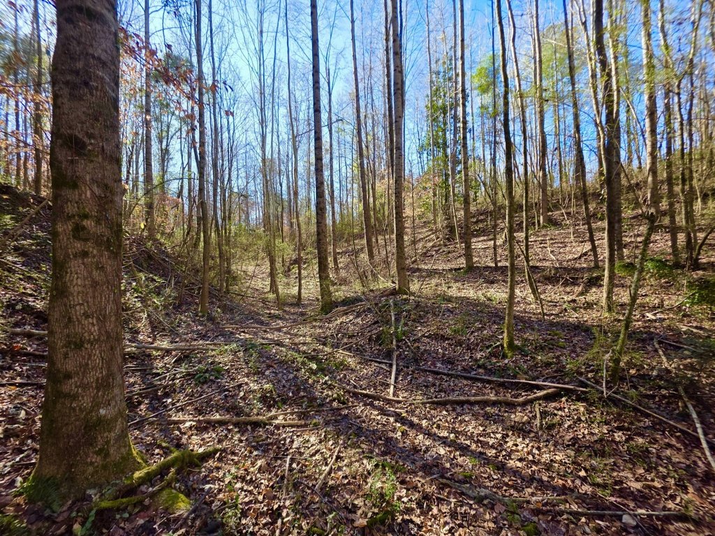Picture 17