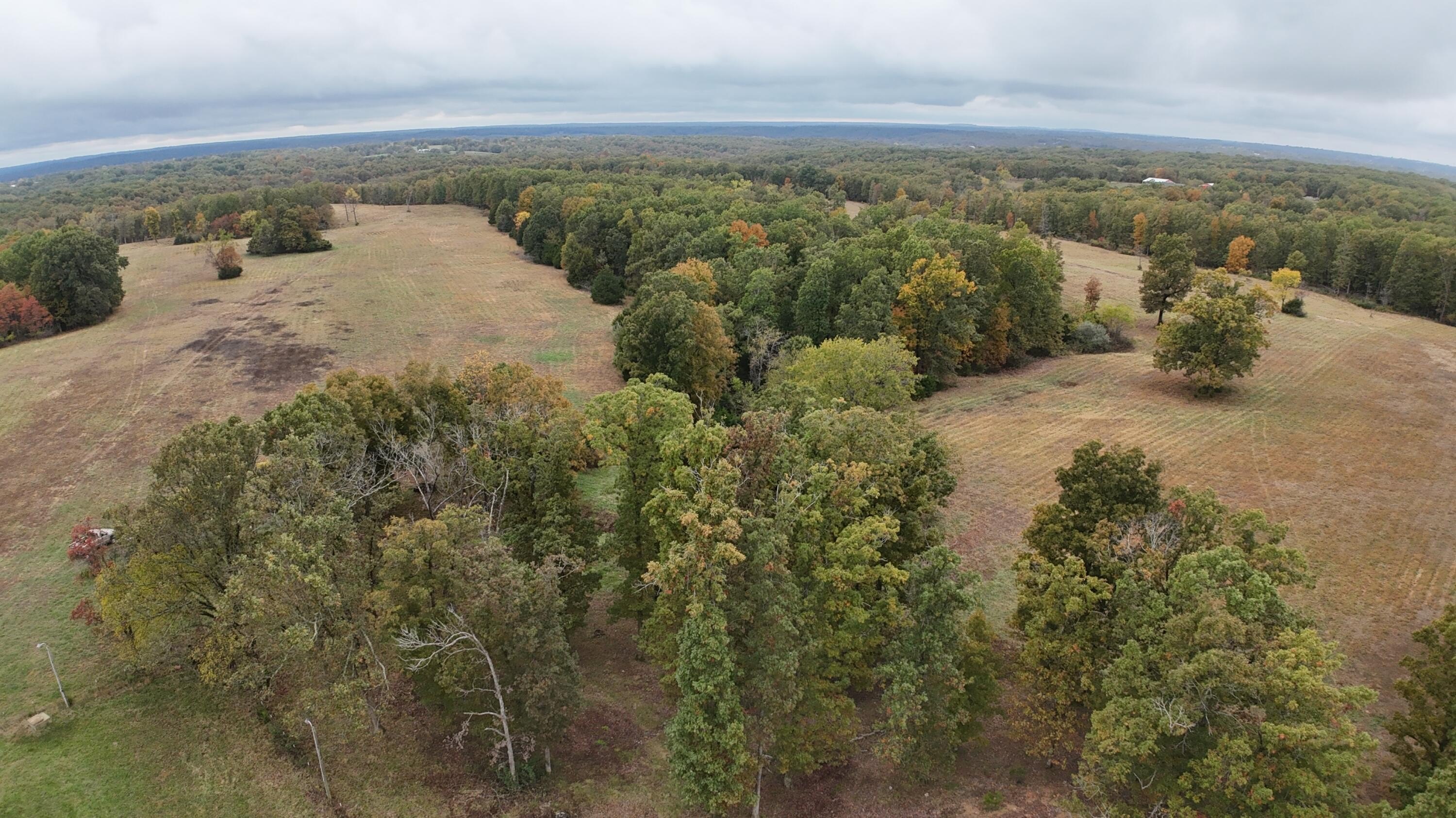 100 Acre Farm Ready Pasture