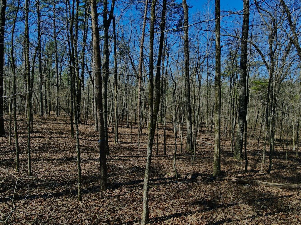 Picture 16
