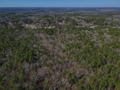Timber Development Land Tract