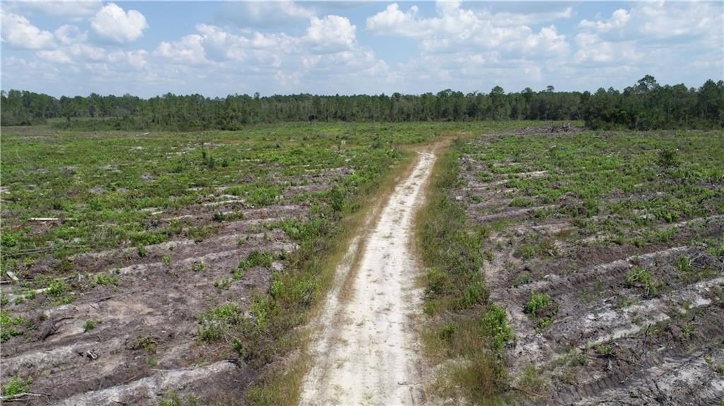 Recreational and Timber Tract