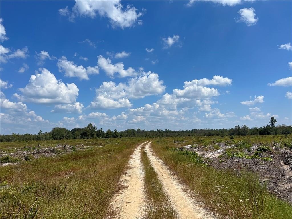 Picture 52