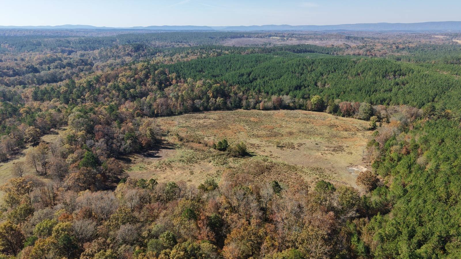 Secluded Land with Hunting Potential
