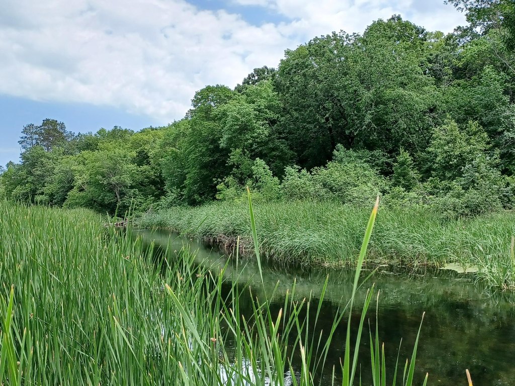 Picture 4