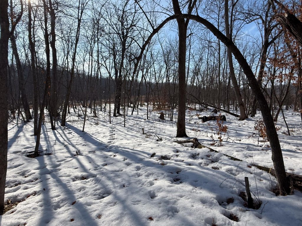 Picture 38